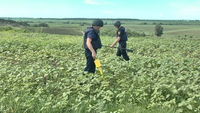 Піротехніки досліджують територію на наявність вибухівки Піротехніки досліджують територію на наявність вибухівки
