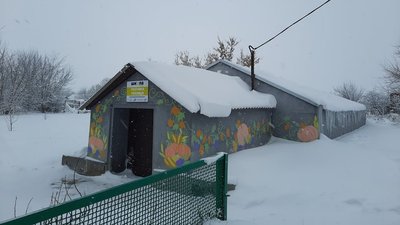 Уроки у теплиці. На Донеччині школярі вирощують овочі у власноруч спроєктованій теплиці