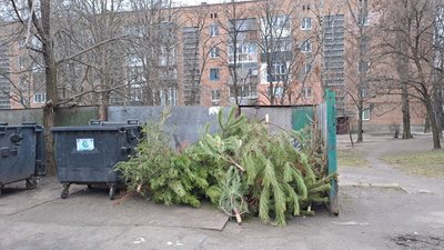 У Кропивницькому просять викидати ялинки з 15 січня. Куди саме?