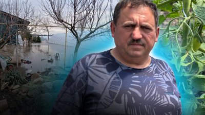 Відновлення тепличного агробізнесу після паводка та урагану