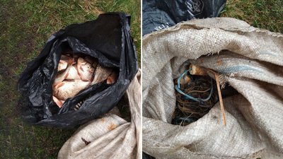 На Чернігівщині рибалка сітками наловив риби на понад 70 тисяч гривень