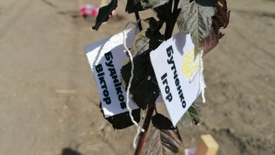 "Присвятити одне дерево трьом загиблим — це неповага". Чому пам'ятна алея в Кропивницькому не влаштовує рідних бійців "Присвятити одне дерево трьом загиблим — це неповага". Чому пам'ятна алея в Кропивницькому не влаштовує рідних бійців