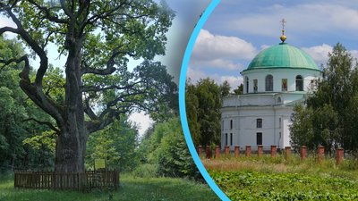 Чому на Полтавщині занепадають туристичні магніти Диканьки
