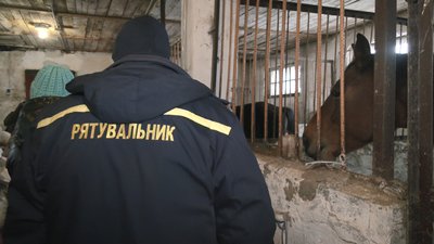дснс коні харків дснс коні харків