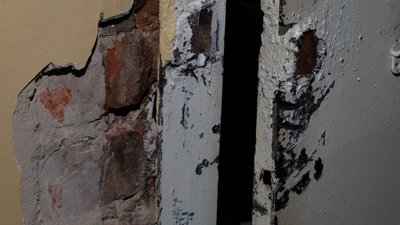 Вивезли 30 тонн картоплі: у Седневі росіяни пограбували підприємство, що займається селекцією