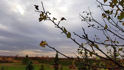 Осінь у Донецькій області