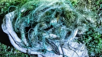 Збитків державі на 64 тисячі гривень. Прикордонники Херсонського загону затримали браконьєра