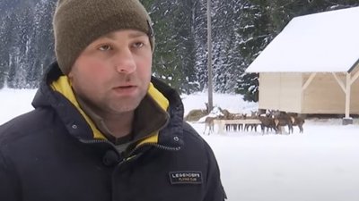 Доглядає 30 оленів та мріє створити біопарк. Юрій Тюх. СУСПІЛЬНЕ | ЛЮДИ