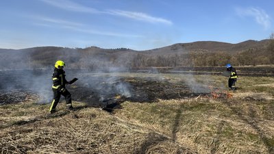 На Закарпатті 23–24 травня очікують надзвичайну пожежну небезпеку