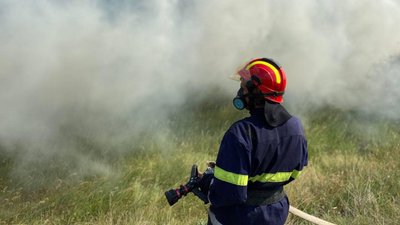 На Одещині за тиждень згоріло 24 гектари сухої рослинності