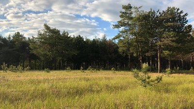 Наприкінці тижня на миколаївців очікуватиме літня погода Наприкінці тижня на миколаївців очікуватиме літня погода