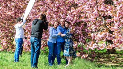 У сезон цвітіння сакур Ужгород відвідали близько 60 тисяч туристів У сезон цвітіння сакур Ужгород відвідали близько 60 тисяч туристів