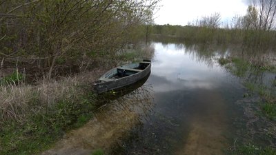 Човни місцевих жителів Човни місцевих жителів