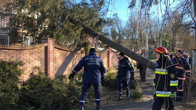 На Прикарпатті буревій зносить зупинки, дахи та дерева На Прикарпатті буревій зносить зупинки, дахи та дерева