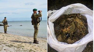 В Одесі затримали браконьєра, який наловив червонокнижних крабів на 3 млн грн