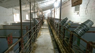 агропромислове підприємство ферма виробництво молоко тварини Донецька область агропромислове підприємство ферма виробництво молоко тварини Донецька область