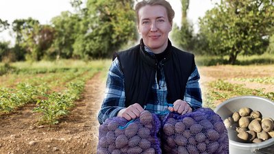 Житомир, картопля, Тетяна Горай