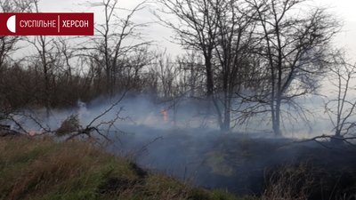 На Херсонщині за добу шість разів горів сухостій, - ДСНС