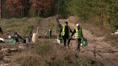 Відновлюють старе і створюють нове: на Черкащині висаджують ліси