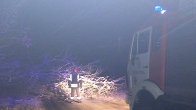 На Житомирщині рятувальники прибрали з доріг області шість повалених негодою дерев