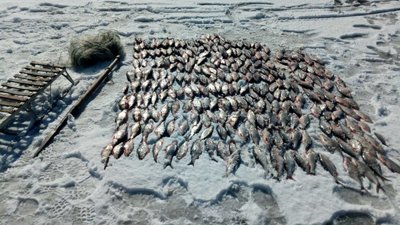 За тиждень на Полтавщині вилучили незаконні вилови риби на понад 36 тисяч гривень
