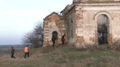 Толока в Симонові