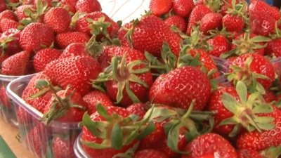 На Черкащині не допустили до продажу понад пів сотні кілограмів полуниці