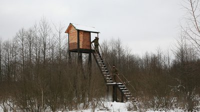 На Чернігівщині провели зимовий облік диких тварин: скільки та яких звірів нарахували На Чернігівщині провели зимовий облік диких тварин: скільки та яких звірів нарахували