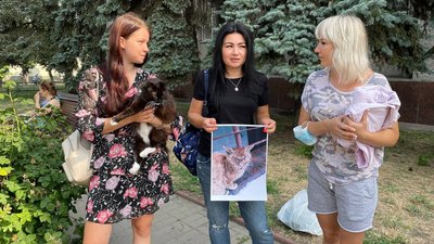 У Черкасах зоозахисники вимагають спрямувати кошти на стерилізацію безпритульних тварин У Черкасах зоозахисники вимагають спрямувати кошти на стерилізацію безпритульних тварин
