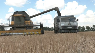 На підконтрольній Україні частині Запорізької області розпочалися жнива