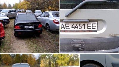 На Хортиці гості свята подавили молоді дубки На Хортиці гості свята подавили молоді дубки