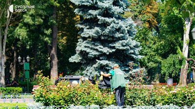 Як в Одесі пройшов День Незалежності: фоторепортаж з вулиць міста Як в Одесі пройшов День Незалежності: фоторепортаж з вулиць міста