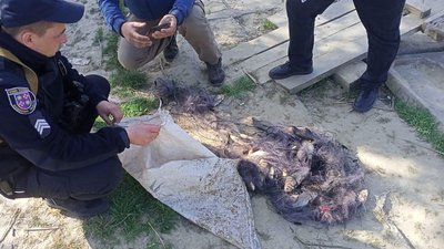 На Вінниччині чоловік нарибалив на майже 300 тисяч гривень На Вінниччині чоловік нарибалив на майже 300 тисяч гривень