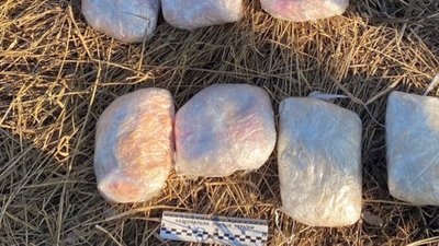 Поліція Дніпропетровщини вилучила психотропів майже на 10 мільйонів гривень