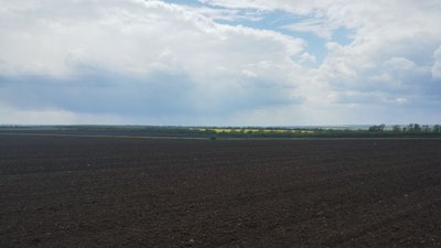 Поле після посівної 
