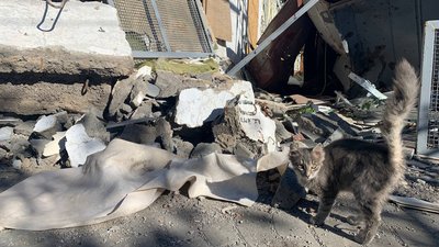 Будматеріалів на сто тисяч гривень. У селі на Криворіжжі волонтери допомагають відновити будинки після обстрілів Будматеріалів на сто тисяч гривень. У селі на Криворіжжі волонтери допомагають відновити будинки після обстрілів