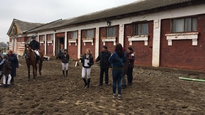 евакуація тварин
