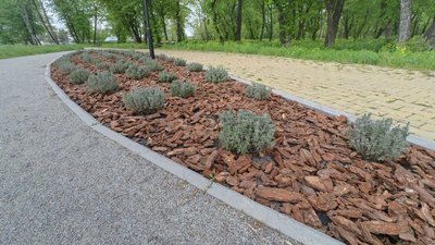 Оновлені локації в Лановецькому зооботанічному саду