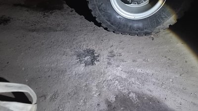 борова харківська область борова харківська область