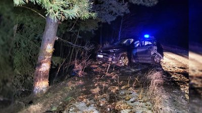 Двоє загиблих та двоє травмованих: на Чернігівщині сталася смертельна ДТП