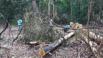 Удар РФ по Чернігову в Ялівщині: які збитки нарахувала Держекоінспекція