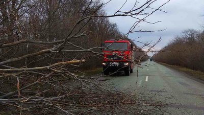 На Дніпропетровщині надзвичайники прибрали дерево, яке впало на дорогу