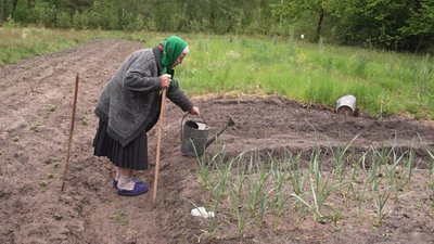 Садить город та носить воду з криниці: у 91 рік волинянка сама живе та господарює на хуторі Садить город та носить воду з криниці: у 91 рік волинянка сама живе та господарює на хуторі
