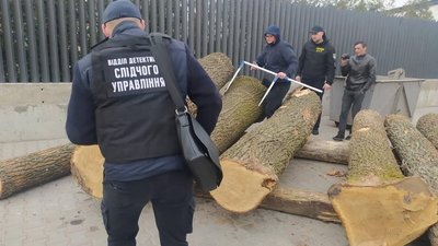 Незаконно вирубували ліс: на Вінниччині затримали злочинну групу Незаконно вирубували ліс: на Вінниччині затримали злочинну групу