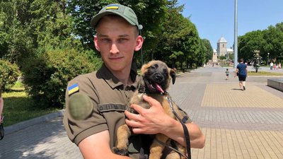 На Тернопільщині нацгвардійці тренують собаку для патрулювання міста і пошуків