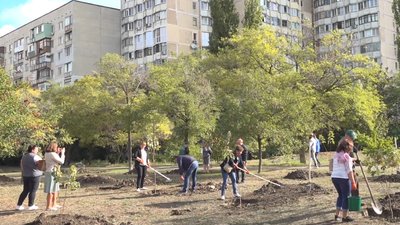 Алея Одеса Алея Одеса