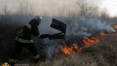 Загоряння сухої трави: рятувальники Дніпропетровщини загасили пожежі у шести населених пунктах