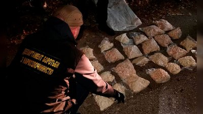 Близько 25 кг наркотиків: у лісосмузі поблизу Чернігова виявили схованку з мефедроном Близько 25 кг наркотиків: у лісосмузі поблизу Чернігова виявили схованку з мефедроном