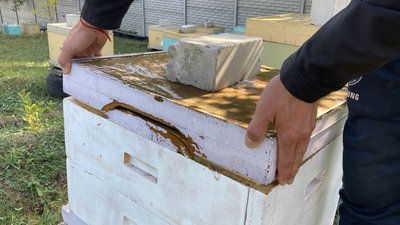 Мед з деокупованих Циркунів на Харківщині відзначили на міжнародній виставці у Лондоні Мед з деокупованих Циркунів на Харківщині відзначили на міжнародній виставці у Лондоні