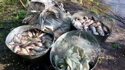 На Полтавщині браконьєри наловили риби на 2,5 мільйони гривень На Полтавщині браконьєри наловили риби на 2,5 мільйони гривень